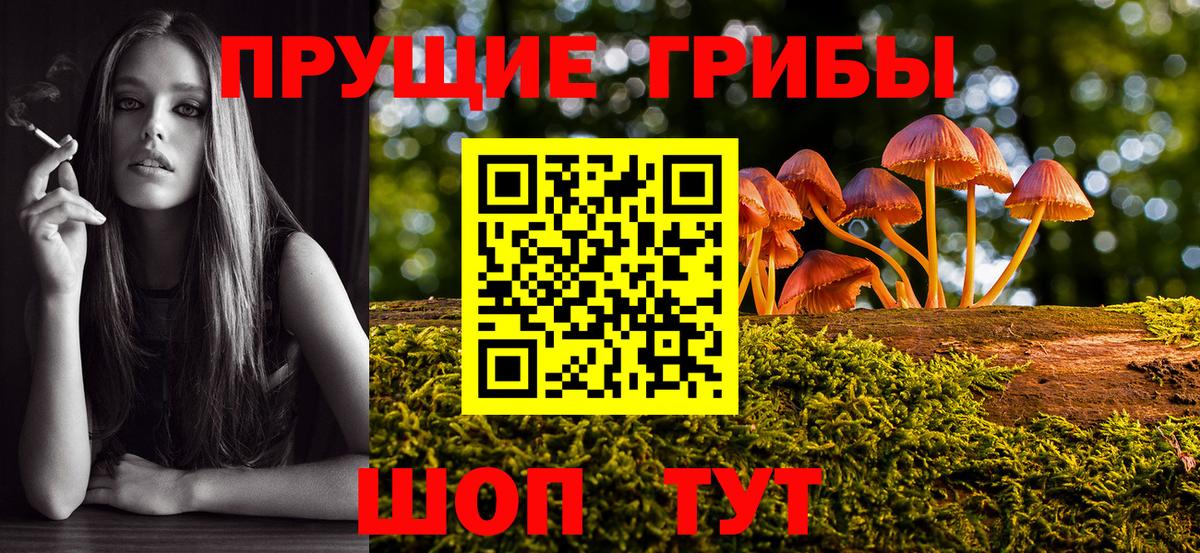 Галлюциногенные грибы Psilocybe  Вход с VPN  Алейск 