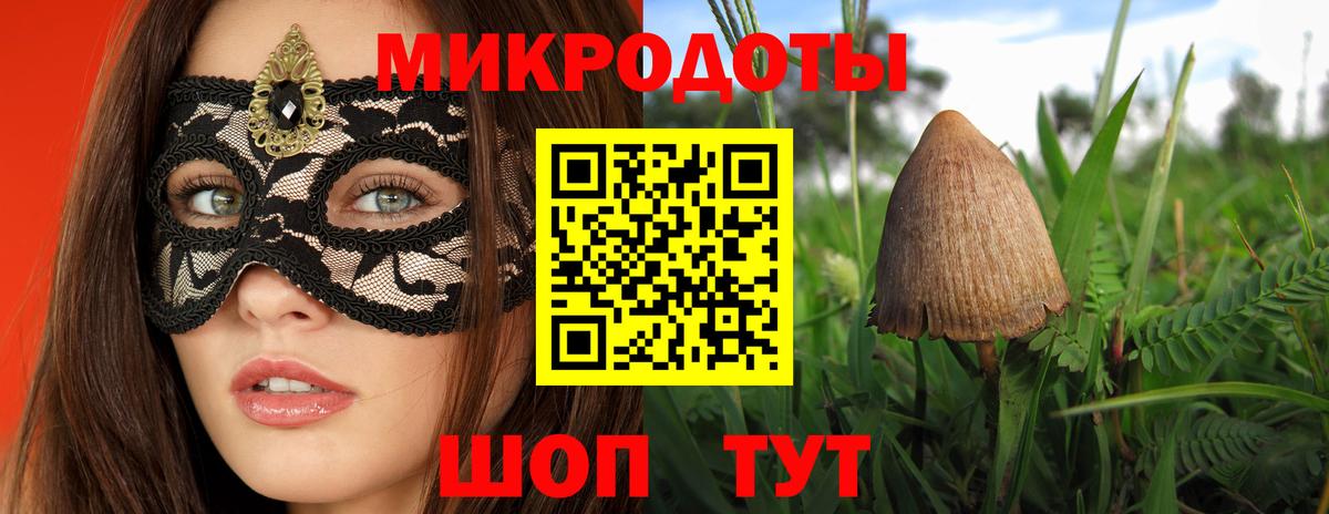 Псилоцибиновые грибы Cubensis Алейск
